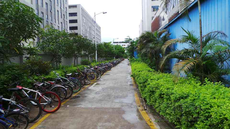 深圳园林绿化公司 深圳园林绿化公司