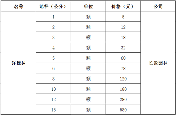 洋槐树苗木选购指南与最新价格参考
