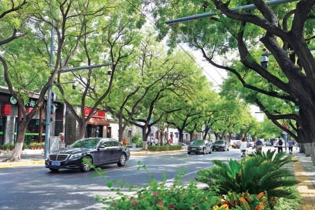 北京城市设计转型:从形态塑造到全域治理,塑造灵动首都风貌 从形态塑造到全域治理 城市设计让首都更加“灵动”