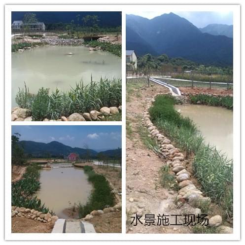 罗浮山花开水景工程:专业园林绿化设计与施工案例解析 罗浮山花开水景工程:专业园林绿化设计与施工案例解析