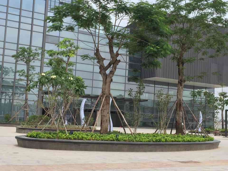 专业园林绿化施工与养护一站式服务，保障工业区景观持久美观