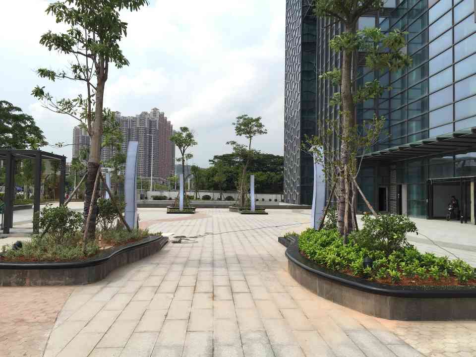 专业园林绿化施工与养护一站式服务，保障工业区景观持久美观