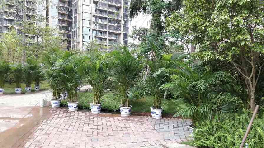 专业园林绿化施工经验助力小区景观建设，打造生态居住环境