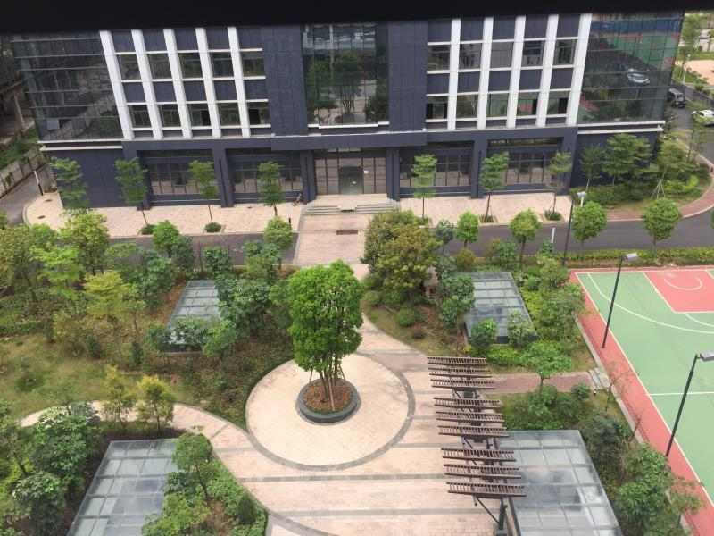 专业园林绿化工程服务商助力高新技术企业厂区环境建设