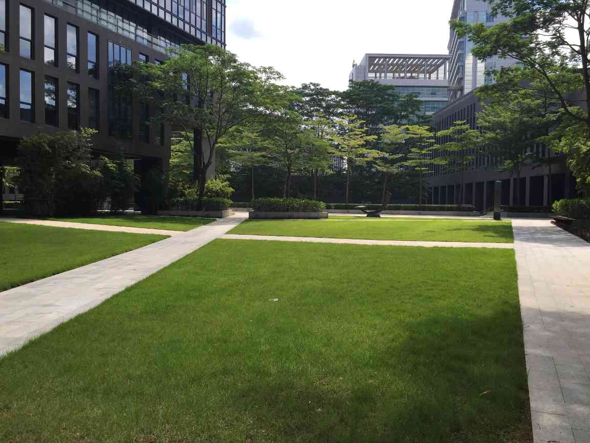 专业园林绿化施工与养护一站式服务，助力企业景观工程合作