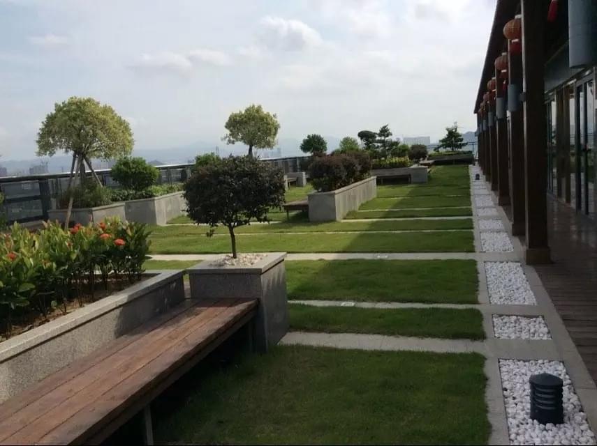 私家屋顶绿化工程案例解析：一站式服务打造城市自然空间