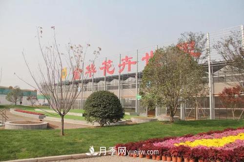 金华花木生 我与一座城(图1) 金华花木生 我与一座城(图1)