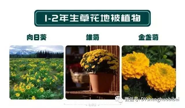 苗木必备基本常识手册(图11)