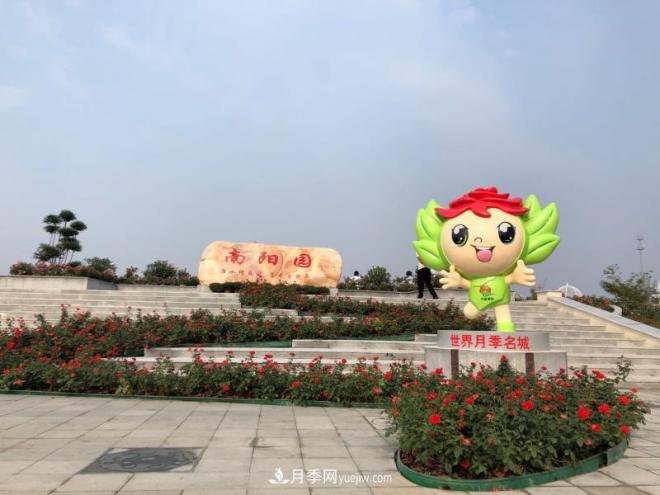 南阳月季在安徽第十届中国月季展览会上大放异彩(图1) 南阳月季在安徽第十届中国月季展览会上大放异彩(图1)