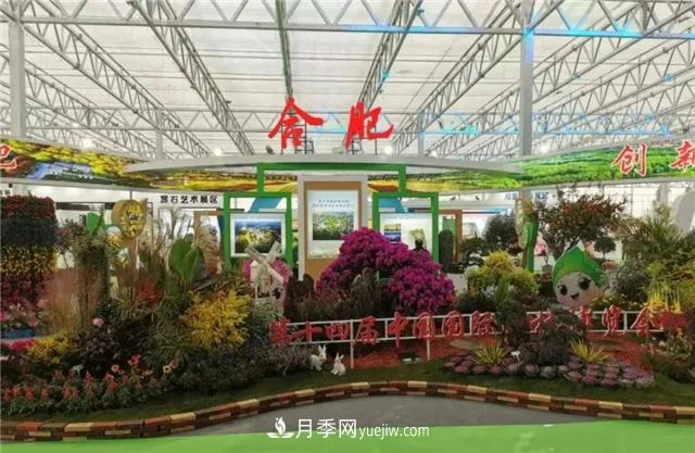 “苗会”美丽中国 建设美好安徽——2020合肥苗木花卉交易大会开幕(图1) “苗会”美丽中国 建设美好安徽——2020合肥苗木花卉交易大会开幕(图1)