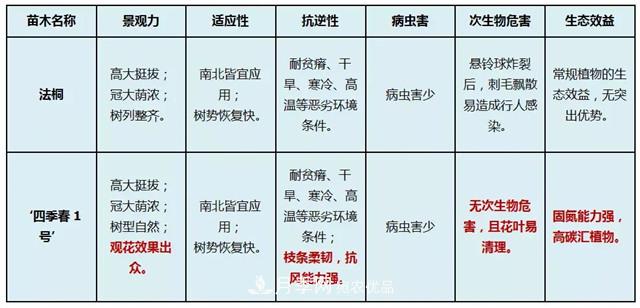 苗木产品的价格、价值和供需——三角关系之动态平衡(图3) 苗木产品的价格、价值和供需,三角关系之动态平衡(图3)