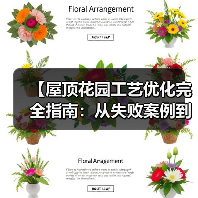 【屋顶花园工艺优化完全指南:从失败案例到成功逆袭的实战秘籍】(图3) 【屋顶花园工艺优化完全指南:从失败案例到成功逆袭的实战秘籍】(图3)