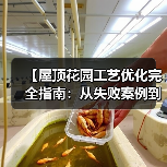 【屋顶花园工艺优化完全指南:从失败案例到成功逆袭的实战秘籍】(图4) 【屋顶花园工艺优化完全指南:从失败案例到成功逆袭的实战秘籍】(图4)