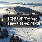 【园艺种植工艺优化:让每一片叶子都闪闪发光的2026秘籍】(图2) 【园艺种植工艺优化:让每一片叶子都闪闪发光的2026秘籍】(图2)
