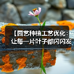 【园艺种植工艺优化:让每一片叶子都闪闪发光的2026秘籍】(图3) 【园艺种植工艺优化:让每一片叶子都闪闪发光的2026秘籍】(图3)