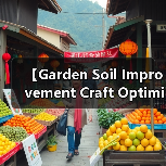 【Garden Soil Improvement Craft Optimization 园艺土壤改良工艺优化完全指南:7大核心技法让你的花园土壤肥力提升300%(图4) 【Garden Soil Improvement Craft Optimization 园艺土壤改良工艺优化完全指南:7大核心技法让你的花园土壤肥力提升300%(图4)