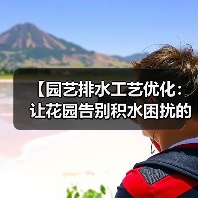 【园艺排水工艺优化:让花园告别积水困扰的终极指南】(图2) 【园艺排水工艺优化:让花园告别积水困扰的终极指南】(图2)