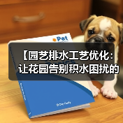 【园艺排水工艺优化:让花园告别积水困扰的终极指南】(图3) 【园艺排水工艺优化:让花园告别积水困扰的终极指南】(图3)
