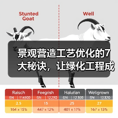 景观营造工艺优化的7大秘诀,让绿化工程成本直降35%(图4) 景观营造工艺优化的7大秘诀,让绿化工程成本直降35%(图4)