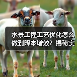 水景工程工艺优化怎么做到降本增效?揭秘实用技巧与创新实践(图3) 水景工程工艺优化怎么做到降本增效?揭秘实用技巧与创新实践(图3)