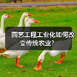 园艺工程工业化如何改变传统农业?(图1) 园艺工程工业化如何改变传统农业?(图1)