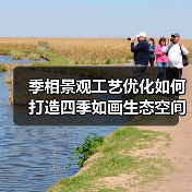 季相景观工艺优化如何打造四季如画生态空间？（图4）