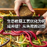 生态修复工艺优化为何成关键?从失败教训到成功案例全解析(图1) 生态修复工艺优化为何成关键?从失败教训到成功案例全解析(图1)