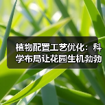 植物配置工艺优化:科学布局让花园生机勃勃(图4) 植物配置工艺优化:科学布局让花园生机勃勃(图4)
