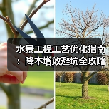 水景工程工艺优化指南:降本增效避坑全攻略(图2) 水景工程工艺优化指南:降本增效避坑全攻略(图2)
