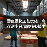 垂直绿化工艺优化：高存活率背后的核心技术揭秘（图1）