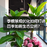 季相景观优化如何打造四季如画生态空间？（图1）
