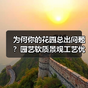 为何你的花园总出问题?园艺软质景观工艺优化全攻略(图2) 为何你的花园总出问题?园艺软质景观工艺优化全攻略(图2)