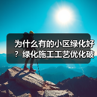 为什么有的小区绿化好?绿化施工工艺优化破解成本与效率难题(图4) 为什么有的小区绿化好?绿化施工工艺优化破解成本与效率难题(图4)