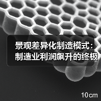 景观差异化制造模式:制造业利润飙升的终极解决方案(图1) 景观差异化制造模式:制造业利润飙升的终极解决方案(图1)