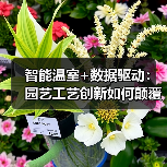 智能温室+数据驱动：园艺工艺创新如何颠覆传统农业？（图4）
