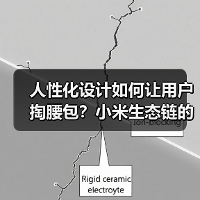 人性化设计如何让用户掏腰包？小米生态链的差异化密码（图4）