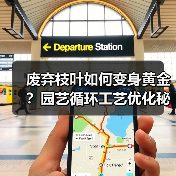 废弃枝叶如何变身黄金？园艺循环工艺优化秘籍揭秘（图1）