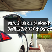园艺定制化工艺差异化为何成为2026小众市场黄金赛道？（图4）