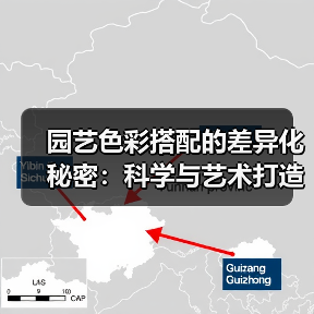 园艺色彩搭配的差异化秘密:科学与艺术打造独特花园美学(图1) 园艺色彩搭配的差异化秘密:科学与艺术打造独特花园美学(图1)