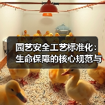 园艺安全工艺标准化：生命保障的核心规范与实践指南（图3）