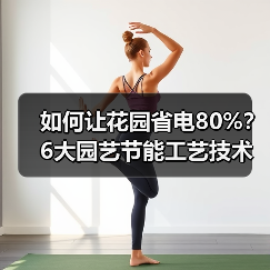 如何让花园省电80%?6大园艺节能工艺技术揭秘(图4) 如何让花园省电80%?6大园艺节能工艺技术揭秘(图4)
