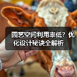 园艺空间利用率低？优化设计秘诀全解析（图2）