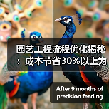 园艺工程流程优化揭秘：成本节省30%以上为何他人能轻松做到？（图4）