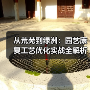 从荒芜到绿洲：园艺康复工艺优化实战全解析（图3）