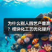 为什么别人园艺产量高?模块化工艺优化提升种植效率(图2) 为什么别人园艺产量高?模块化工艺优化提升种植效率(图2)