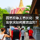 园艺应急工艺优化:突发状况如何高效应对?(图4) 园艺应急工艺优化:突发状况如何高效应对?(图4)