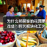 为什么邻居家的花园更茂盛?园艺模块化工艺优化省时80%产量翻倍!(图2) 为什么邻居家的花园更茂盛?园艺模块化工艺优化省时80%产量翻倍!(图2)