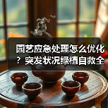 园艺应急处理怎么优化?突发状况绿植自救全攻略(图1) 园艺应急处理怎么优化?突发状况绿植自救全攻略(图1)