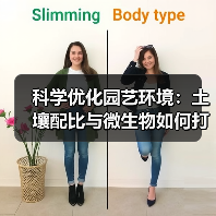 科学优化园艺环境：土壤配比与微生物如何打造生态花园（图3）