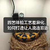 园艺体验工艺差异化，如何打造让人流连忘返的沉浸式花园？（图4）